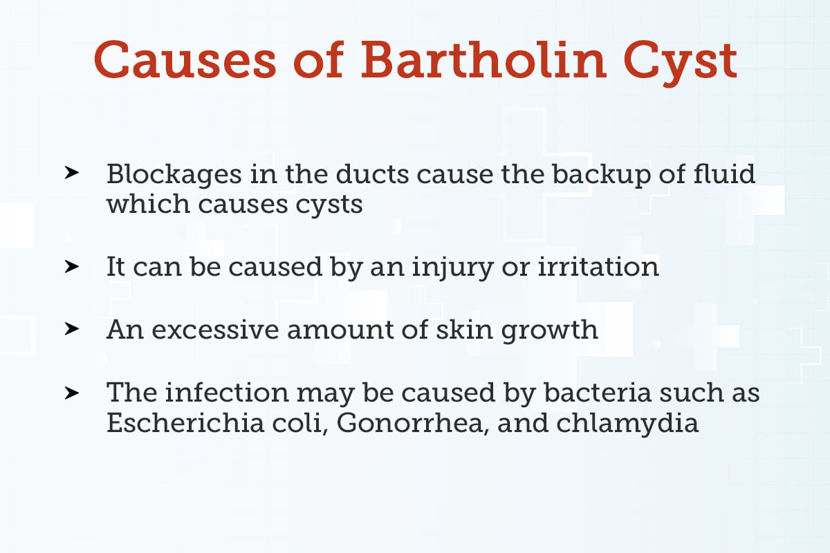 Bartholin Abscess Treatment Procedure Cost Recovery Side Effects 5658